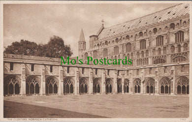 Norfolk Postcard - Norwich Cathedral, The Cloisters  DC1159