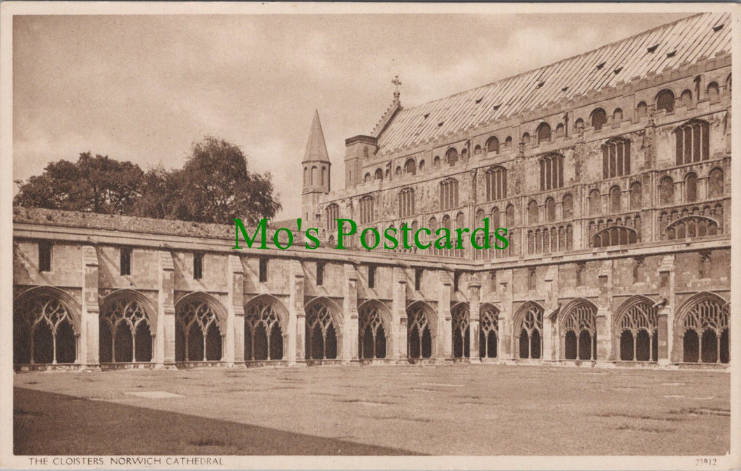 Norfolk Postcard - Norwich Cathedral, The Cloisters  DC1159