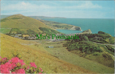 Dorset Postcard - View of Lulworth Cove  DC1168