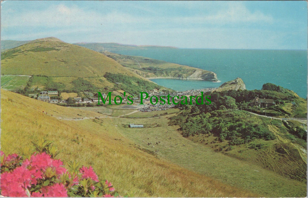 Dorset Postcard - View of Lulworth Cove  DC1168