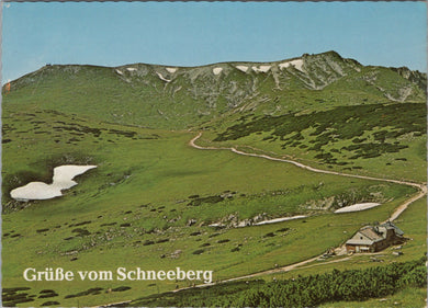 Austria Postcard - Schneeberg Ochsenboden SW12850