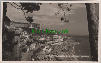 Isle of Wight Postcard - Ventnor Esplanade  DC1009
