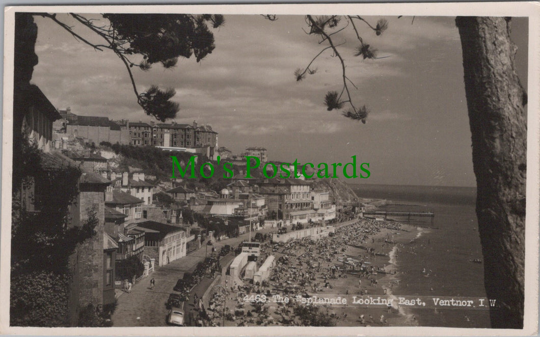 Isle of Wight Postcard - Ventnor Esplanade  DC1009