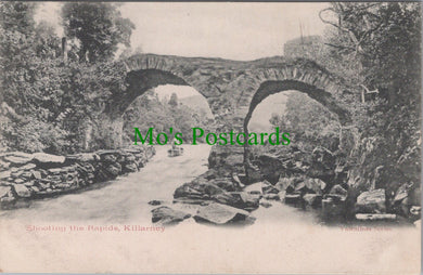 Ireland Postcard - Shooting The Rapids, Killarney  DC1032
