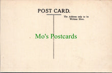 Load image into Gallery viewer, Yorkshire Postcard - Helmsley, The Castle Ruins  SW13115

