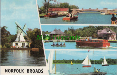Norfolk Postcard - The Norfolk Broads SW11494
