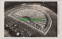 Load image into Gallery viewer, Hertfordshire Postcard - Verulamium Roman Mosaic, 2nd Century A.D - DC1563
