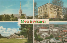 Load image into Gallery viewer, Norfolk Postcard - Views of Norwich   DC1494
