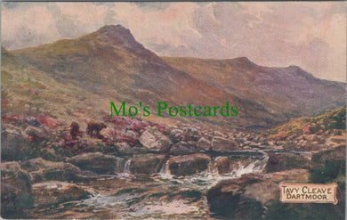 Devon Postcard - Tavy Cleave, Dartmoor  DC1500