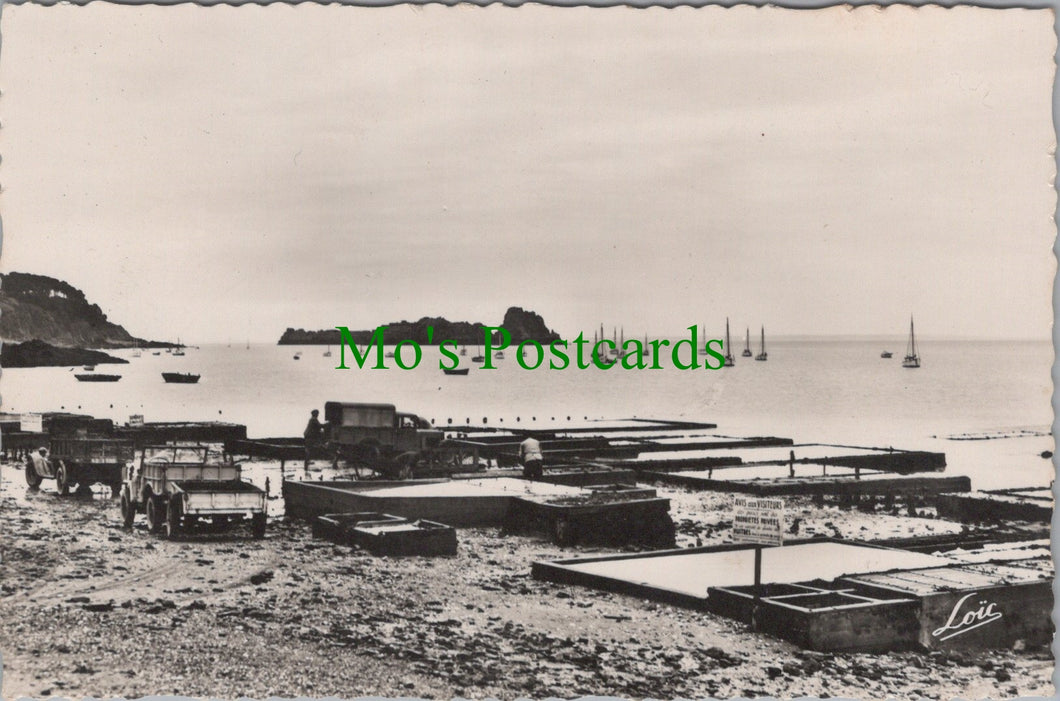 France Postcard - Cancole, Les Parcs a Huitres   SW13204