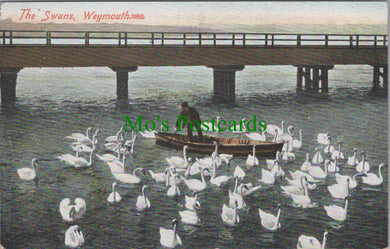 Dorset Postcard - Weymouth, The Swans    SW13212