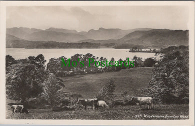 Cumbria Postcard - Windermere From Low Wood  DC2558