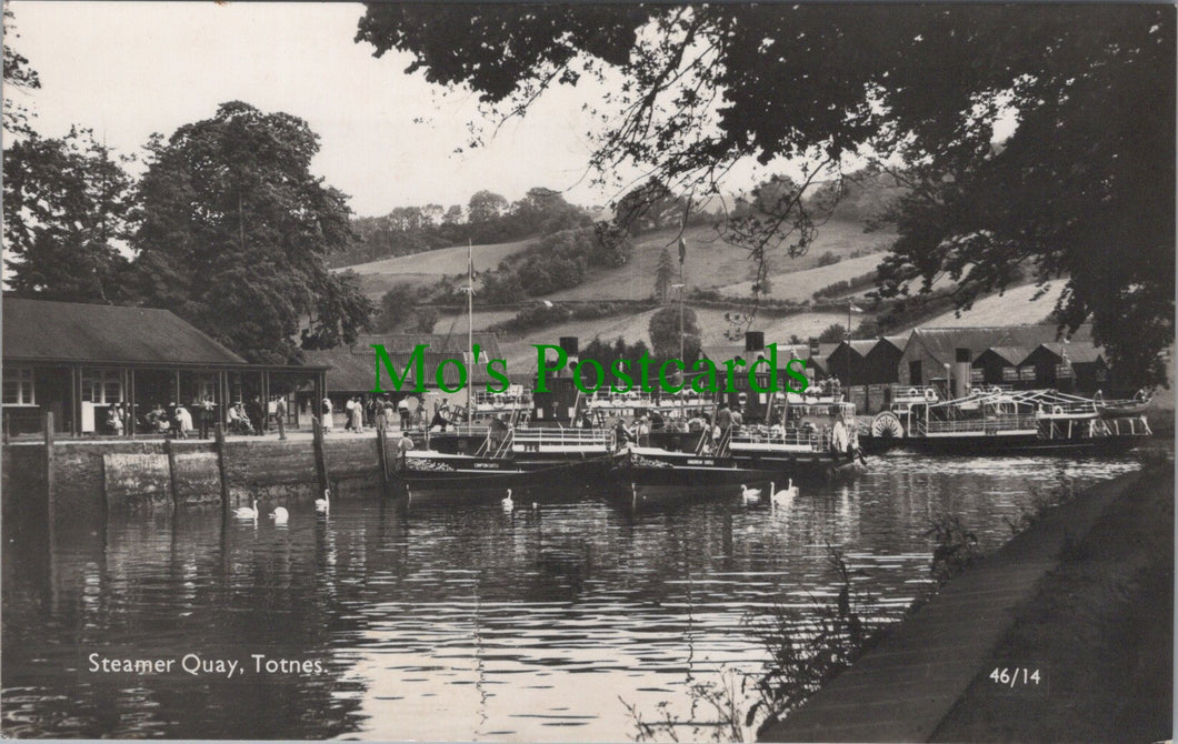 Devon Postcard - Totnes, Steamer Quay  SW12459