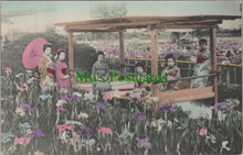 Load image into Gallery viewer, Japan Postcard - Japanese Ladies  SW12463
