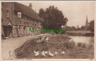 Wiltshire Postcard - Salisbury Cathedral and Old Mill   SW13252