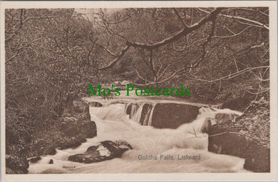 Cornwall Postcard - Liskeard, Golitha Falls  SW10978