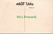 Load image into Gallery viewer, Cornwall Postcard - Liskeard, Golitha Falls  SW10978
