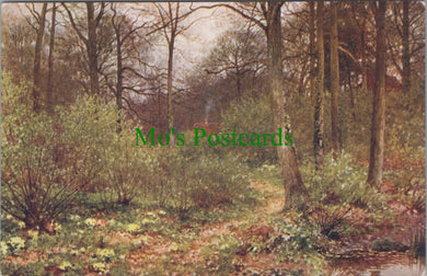 Nature Postcard - Through The Woods, Artist Sutton Palmer SW11000