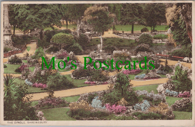 Shropshire Postcard - The Dingle, Shrewsbury  SW11054