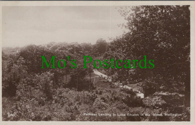 Sussex Postcard - Hollington, Pathway To Little Church in The Wood SW11057