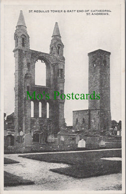Scotland Postcard - St Andrews Cathedral, St Regulus Tower  SW11075