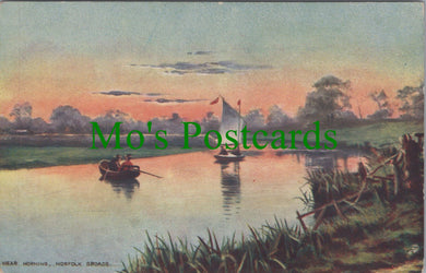 Norfolk Postcard - Near Horning, Norfolk Broads   SW12502