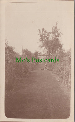 Ancestors Postcard - Lady With Her Dog in a Large Garden SW12521
