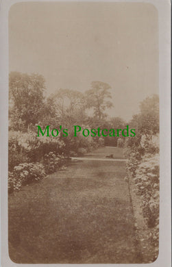 Animals Postcard - Dog in a Large Garden SW12522