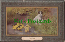 Load image into Gallery viewer, Animals Postcard - Dog With Ducklings SW12530
