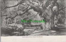 Load image into Gallery viewer, Hampshire Postcard - Oak in Queen Bower Wood, New Forest  DC968

