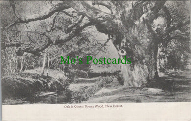 Hampshire Postcard - Oak in Queen Bower Wood, New Forest  DC968