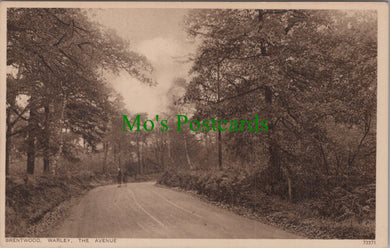 Essex Postcard - Brentwood, Warley, The Avenue  DC934