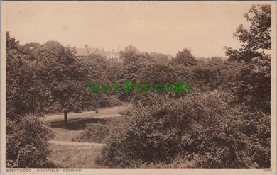 Essex Postcard - Brentwood, Shenfield Common  DC935