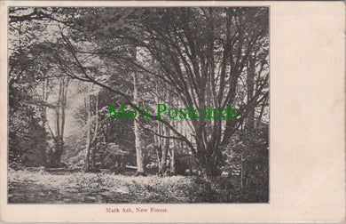 Hampshire Postcard - Mark Ash, The New Forest  DC965