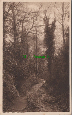 Dorset Postcard - Watery Lane, Studland   DC876
