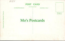 Load image into Gallery viewer, Somerset Postcard - Organ Pipes, Cheddar Caves   DC885
