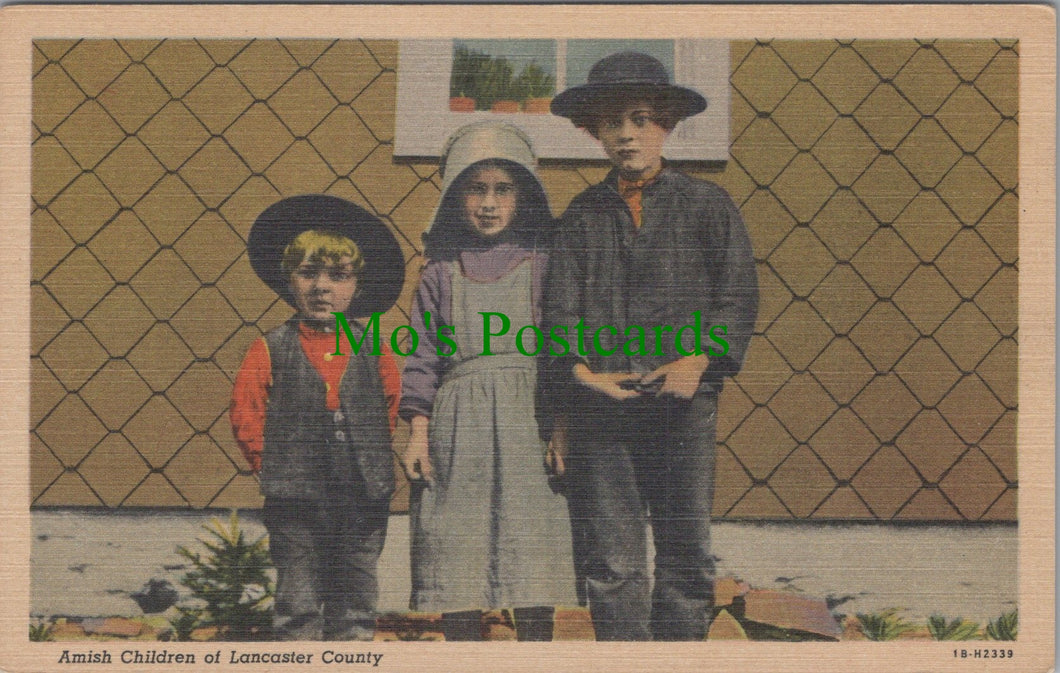 America Postcard - Amish Children of Lancaster County DC822