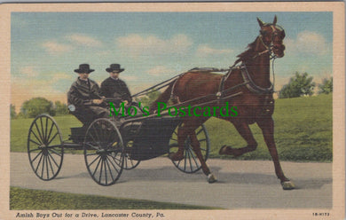 America Postcard - Amish Boys Out For a Drive, Lancaster County DC823