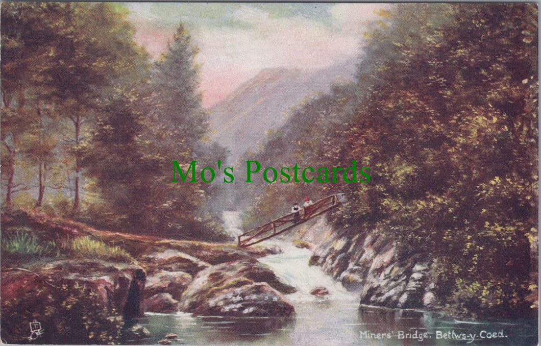 Wales Postcard - Miners' Bridge, Bettws-y-Coed   DC840