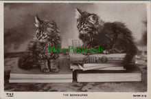 Load image into Gallery viewer, Animals Postcard - Cats, Two Kittens, The Bookworms  SW11227
