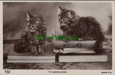 Animals Postcard - Cats, Two Kittens, The Bookworms  SW11227