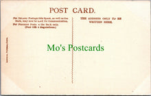 Load image into Gallery viewer, Ireland Postcard - Dublin, Vice-Regal Lodge, Phoenix Park  SW11252
