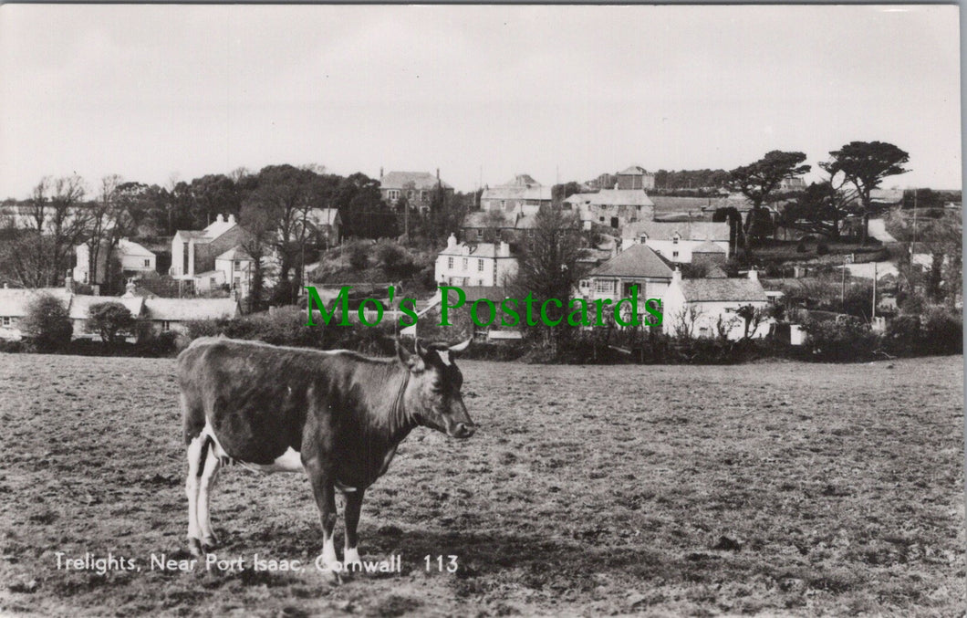 Cornwall Postcard - Trelights, Near Port Isaac  SW11316