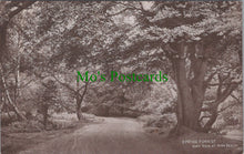 Load image into Gallery viewer, Essex Postcard - Epping Forest, View at High Beech  SW11670

