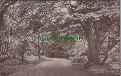 Essex Postcard - Epping Forest, View at High Beech  SW11670