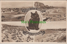 Load image into Gallery viewer, Kent Postcard - Good Luck From Westbrook, Margate  SW11671
