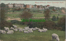 Load image into Gallery viewer, Kent Postcard - Mount Ephraim, Royal Tunbridge Wells SW11672
