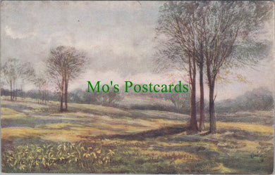 Hampshire Postcard - The New Forest, Minstead in March SW11545