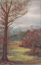 Load image into Gallery viewer, Hampshire Postcard - The New Forest, Brockenhurst in Early Spring SW11546

