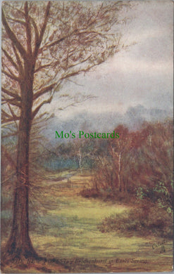 Hampshire Postcard - The New Forest, Brockenhurst in Early Spring SW11546